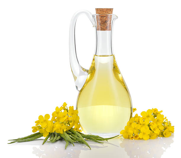 High-quality canola oil can be a healthy option when used in moderation. Here’s a breakdown of its benefits and potential concerns: